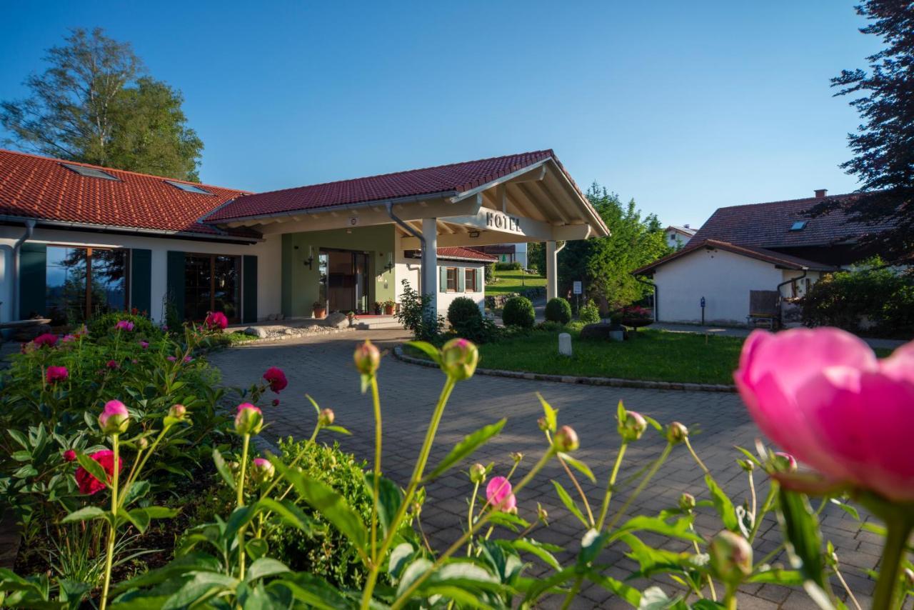 Landhotel Gockelwirt 艾森贝格 外观 照片
